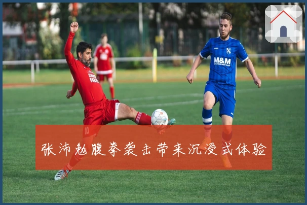 张沛勉腹拳袭击带来沉浸式体验