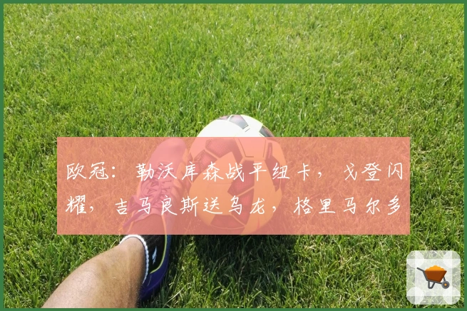 欧冠:勒沃库森战平纽卡,戈登闪耀,吉马良斯送乌龙,格里马尔多建功