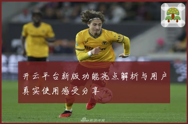 开云平台新版功能亮点解析与用户真实使用感受分享