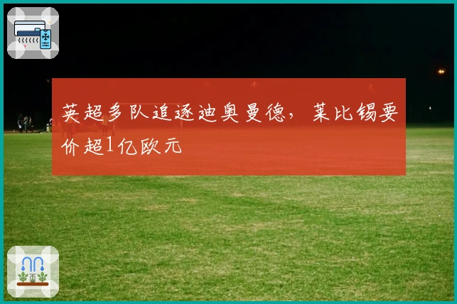 英超多队追逐迪奥曼德，莱比锡要价超1亿欧元