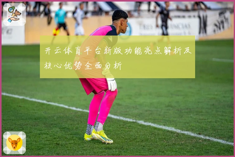 开云体育平台新版功能亮点解析及核心优势全面分析