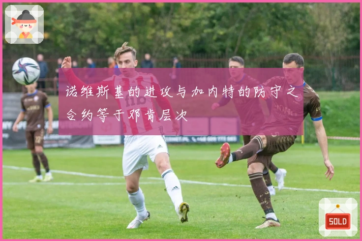 诺维斯基的进攻与加内特的防守之合约等于邓肯层次